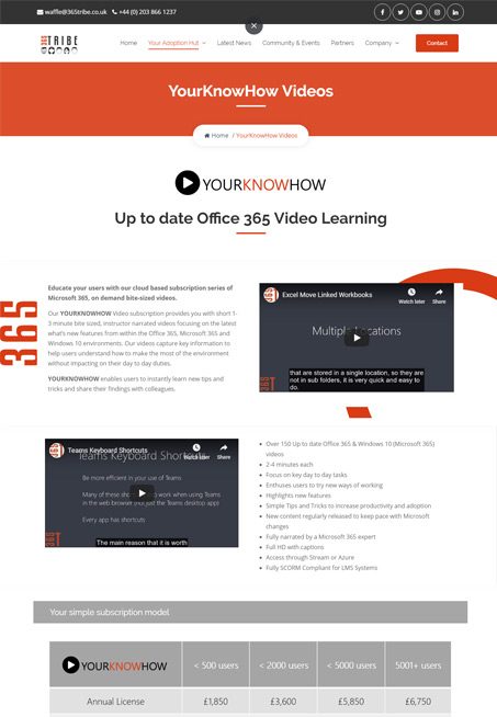 website-design-liverpool-365-tribe-3